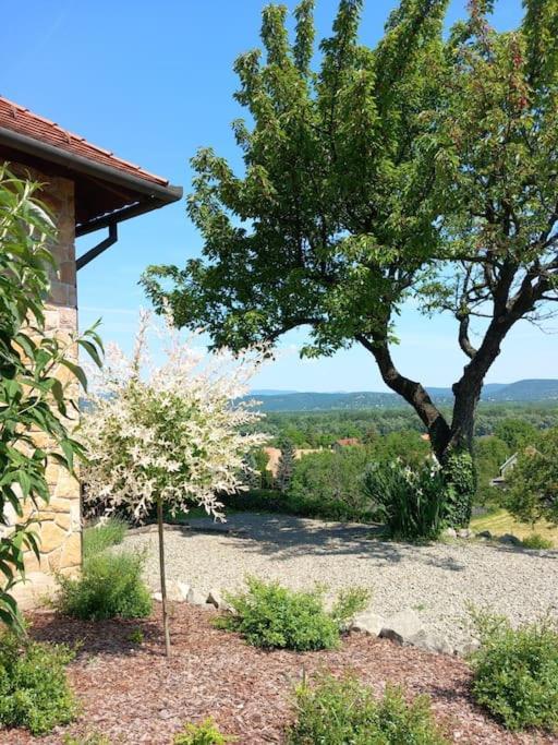 Appartamento Donauresidenz